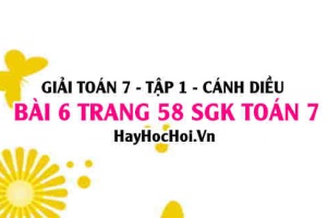Giải bài 6 trang 58 Toán 7 Tập 1 SGK Cánh Diều